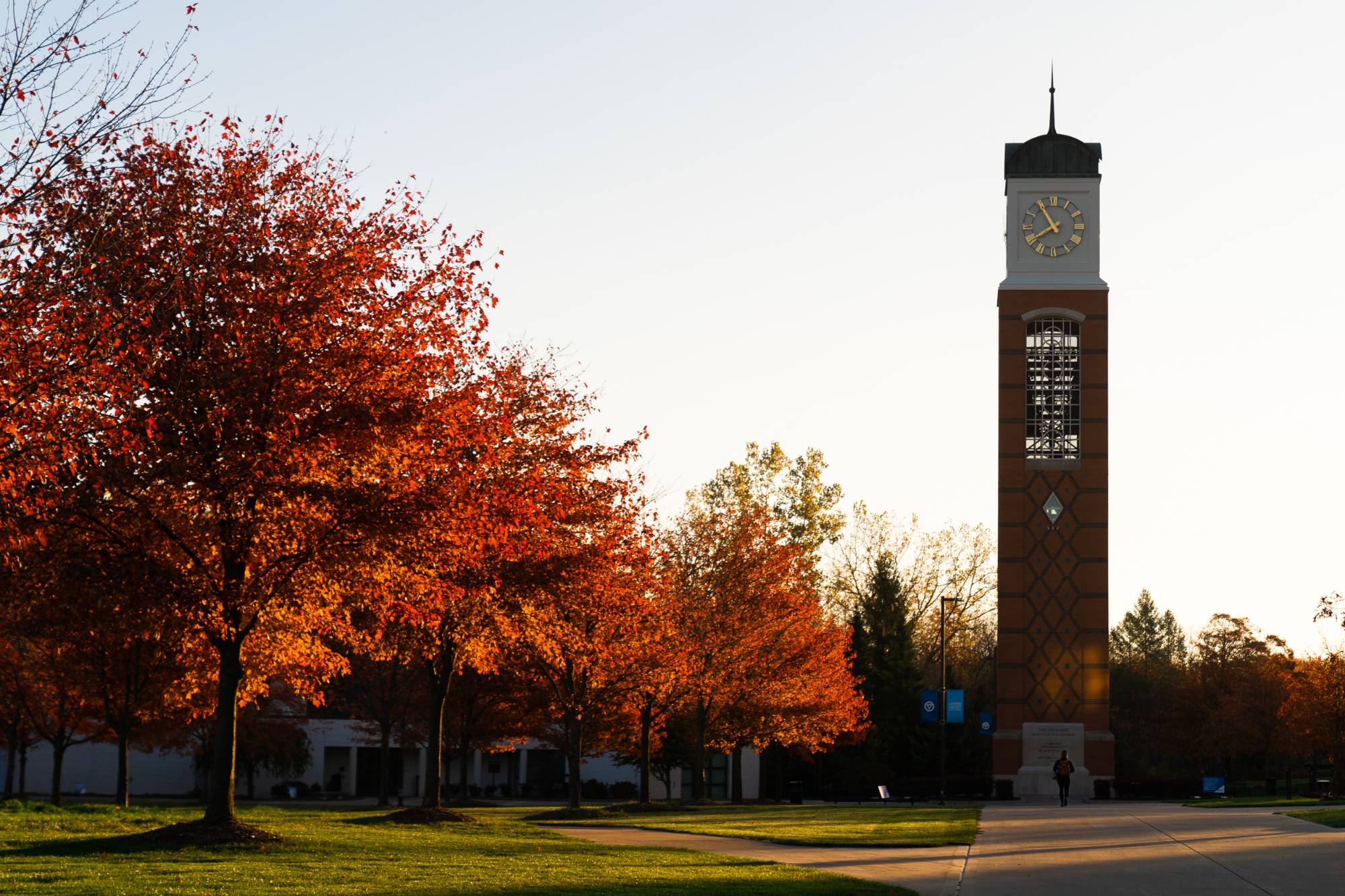 GVSU